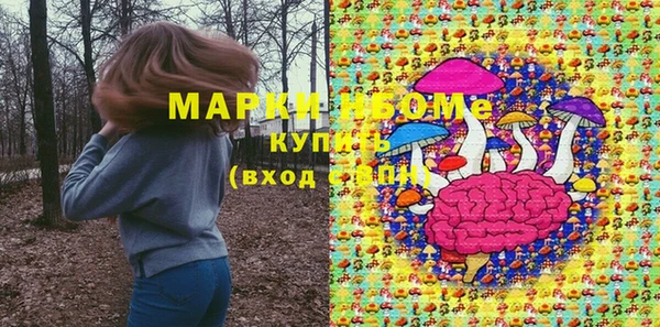 PSILOCYBIN Бородино