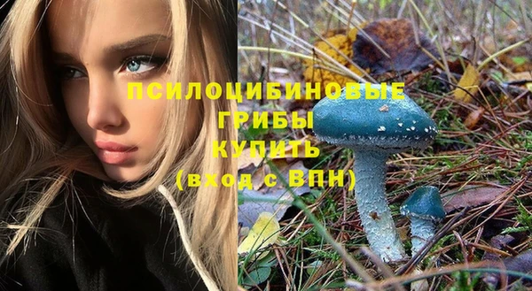 PSILOCYBIN Снежинск